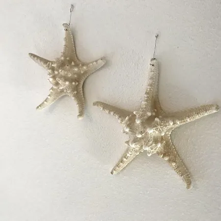 Kijkduinhuis فيلة